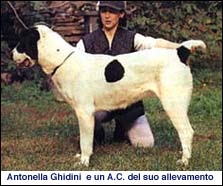 Asia C. e A. Ghidini