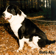 Batij-Alu