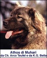 Athos